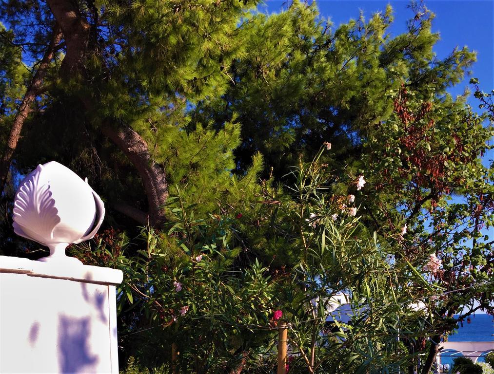 Villa Le Due Pigne (Adults Only) Tarento Exterior foto