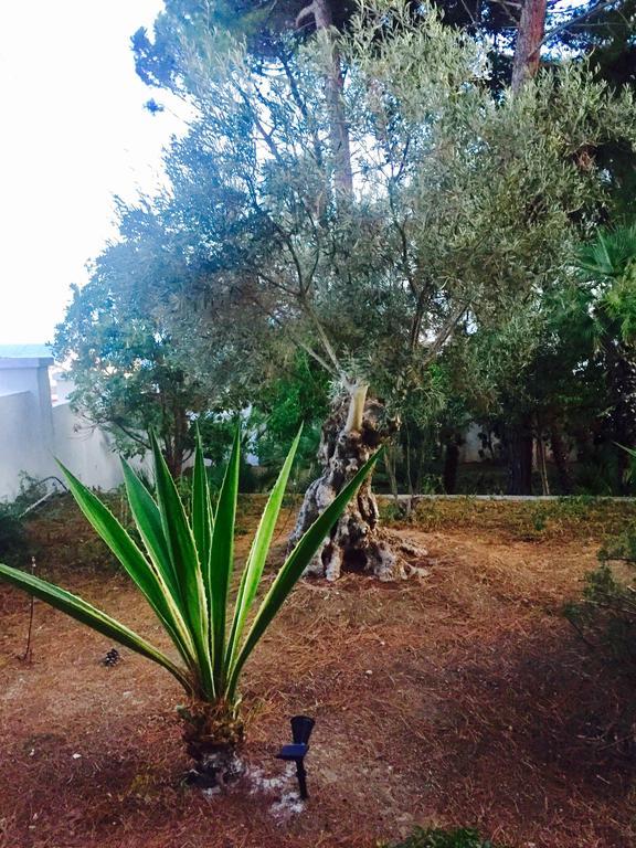 Villa Le Due Pigne (Adults Only) Tarento Exterior foto