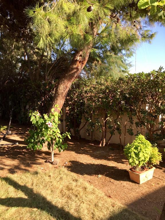 Villa Le Due Pigne (Adults Only) Tarento Exterior foto